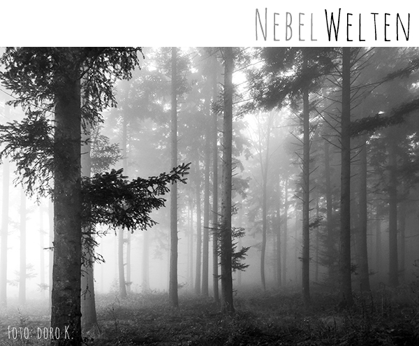 Herbst im Nebel - Fotos in schwarz/weiß | www.dorokaiser.online.de