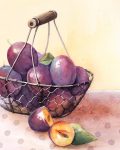 Vielleicht bin ich zu schnell und es ist noch gar keine Zwetschgenzeit. Aber mir egal - ich liebe die Farbkombi aus Gelb und Violett! Dieses Obst weiß, wie man den Komplementärkontrast rockt. 😁

#aquarell #aquarellpainting #foodpainting #akvarell #dorokaiserwatercolor